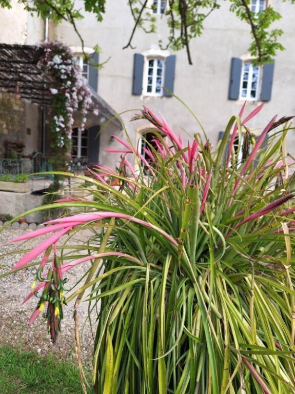 Bed and Breakfast Domaine De Capoulade Narbona Esterno foto