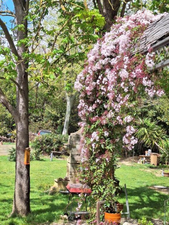 Bed and Breakfast Domaine De Capoulade Narbona Esterno foto